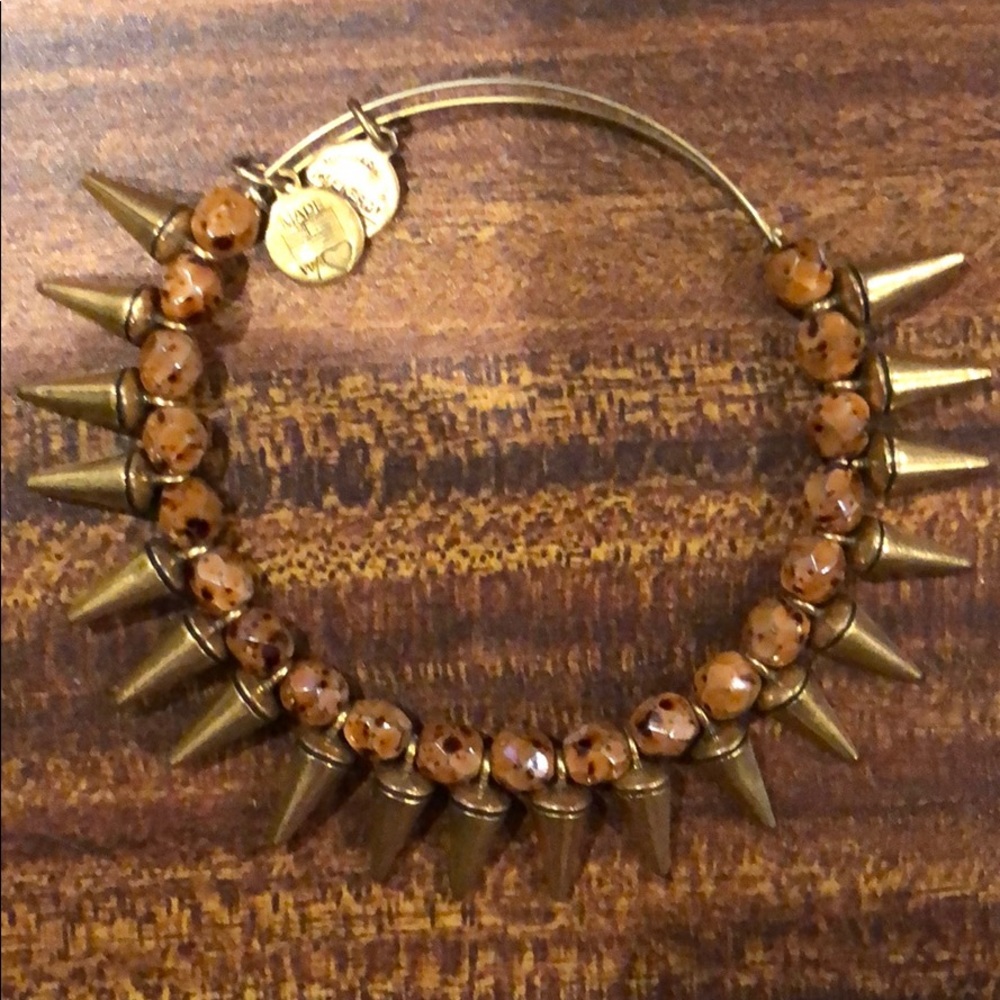Alex & Ani Bracelet